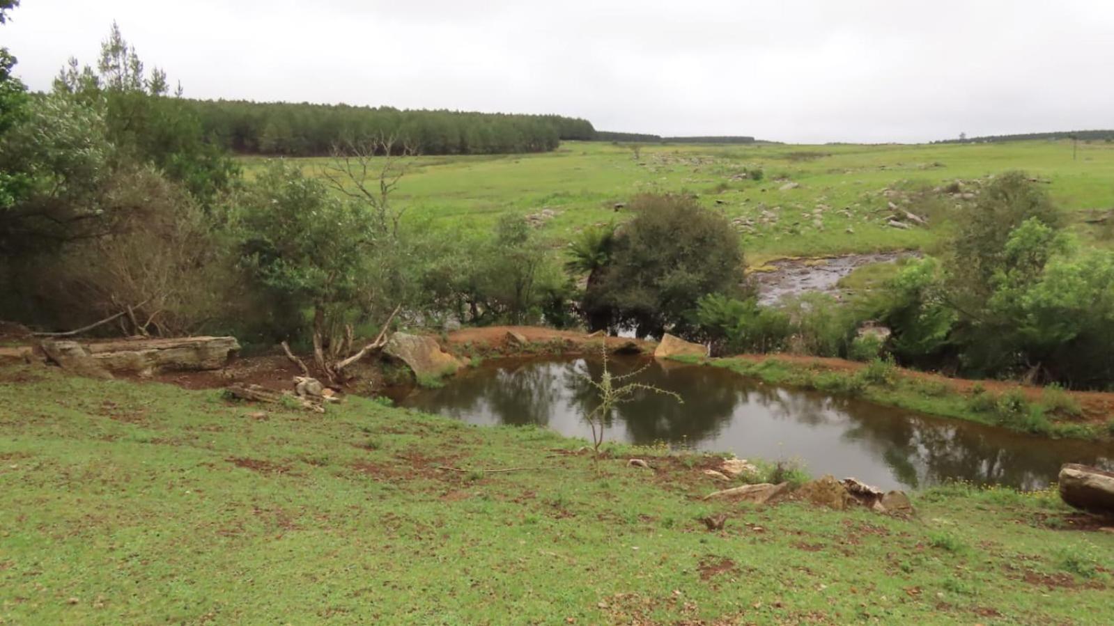 Lisbon Eco Lodge Graskop Eksteriør bilde